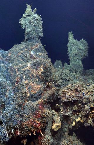 deep sea vent life