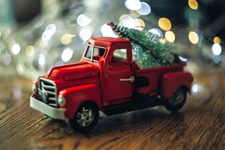 A little red truck, hauling a christmas tree