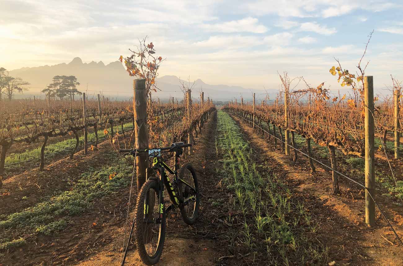 DEC281.south_africa_travel.winelands_cycling_club_trails_credit_gavin_harvett.jpg
