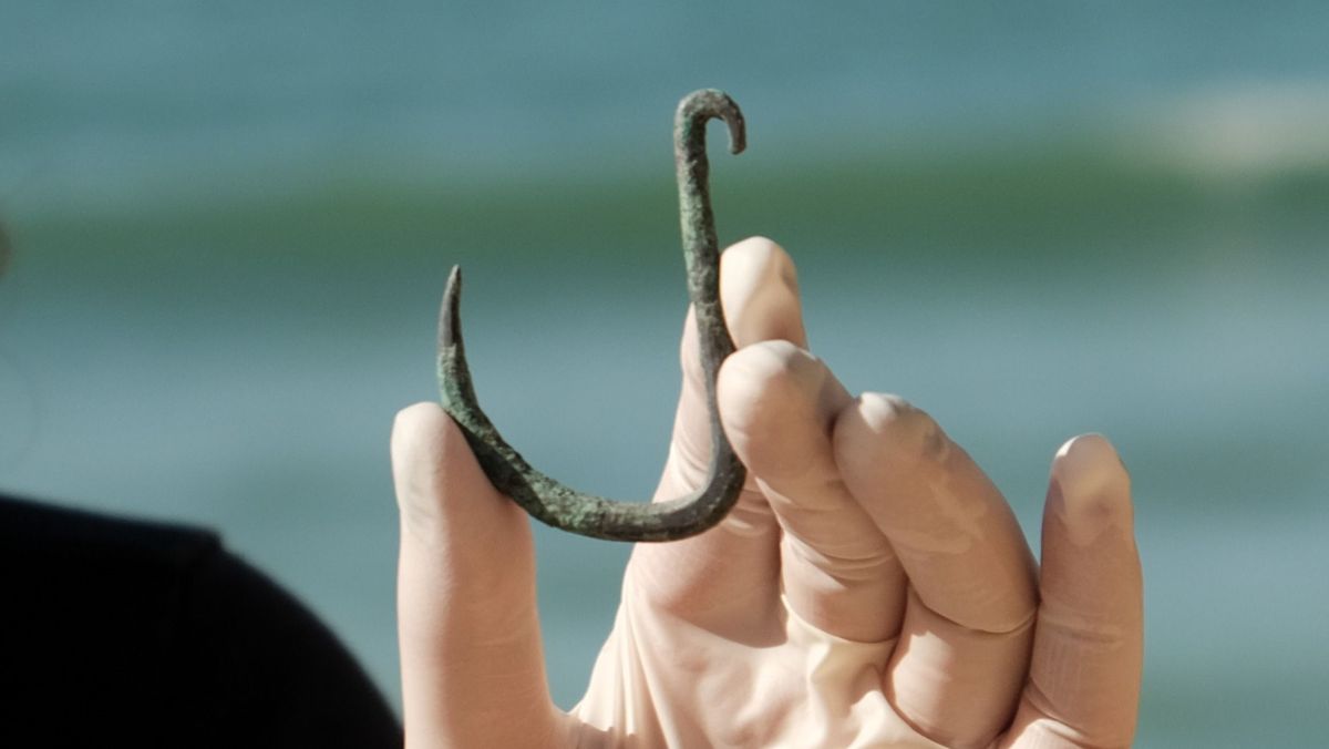 Ancient fish hook suggests sharks were hunted off Israel's coast