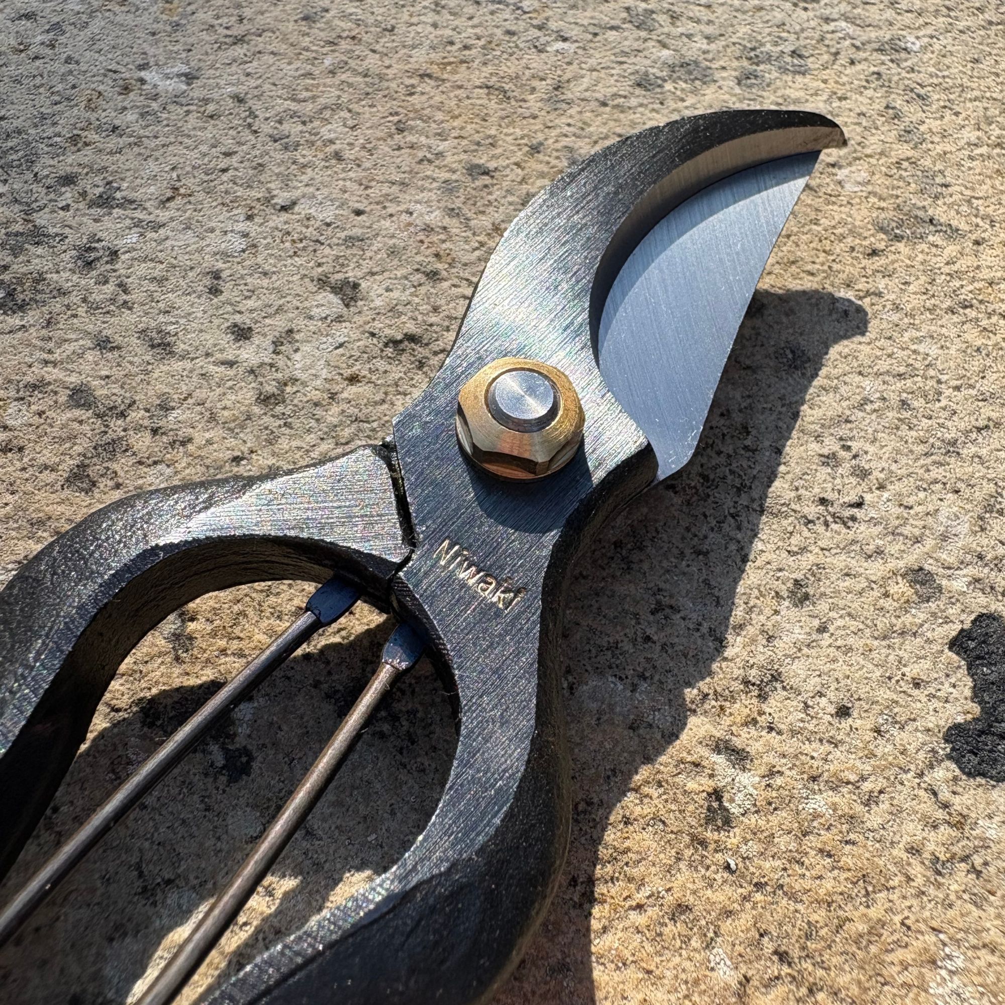 Closeup of Niwaki Sentei Secateurs in garden
