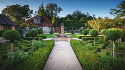 formal garden design with parterre and evergreen topiary