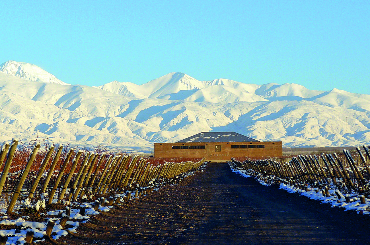 Finca Sophenia