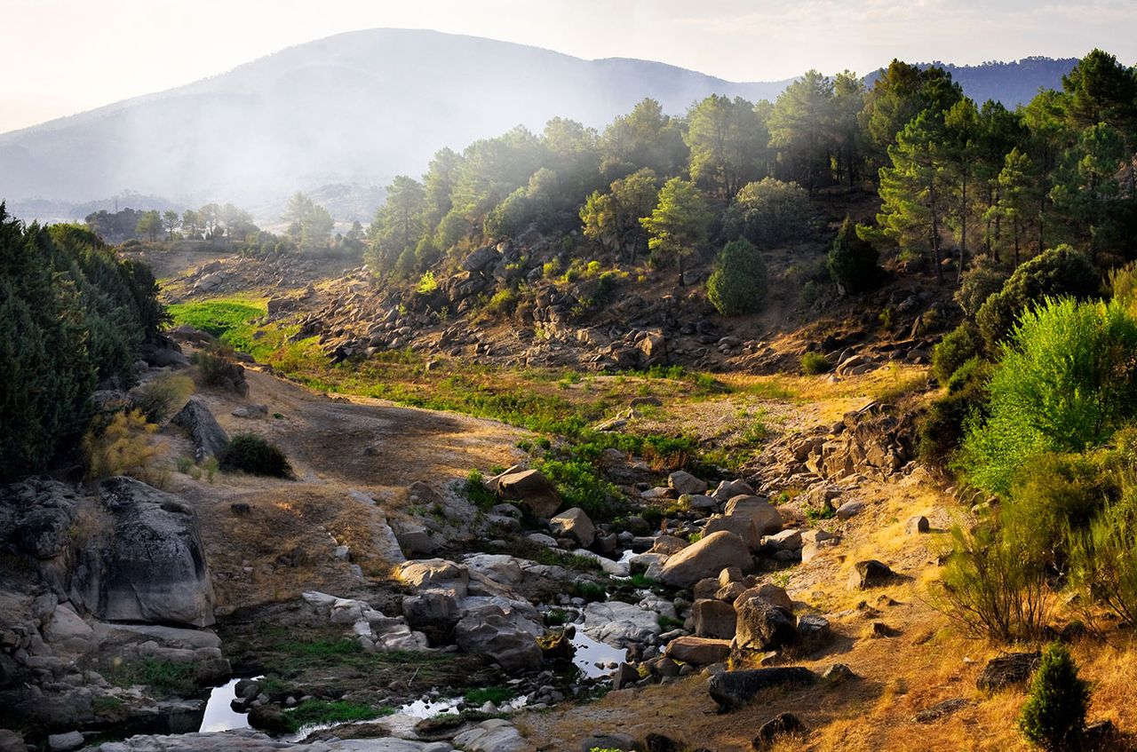 The ethical drinker: Making wine off-grid in Spain's Si