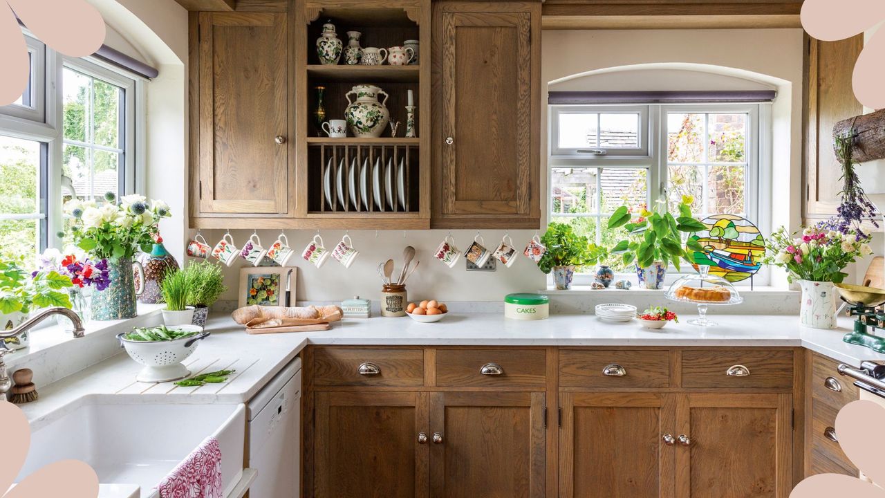  image of rustic kitchen with various houseplants dotted on the countertops