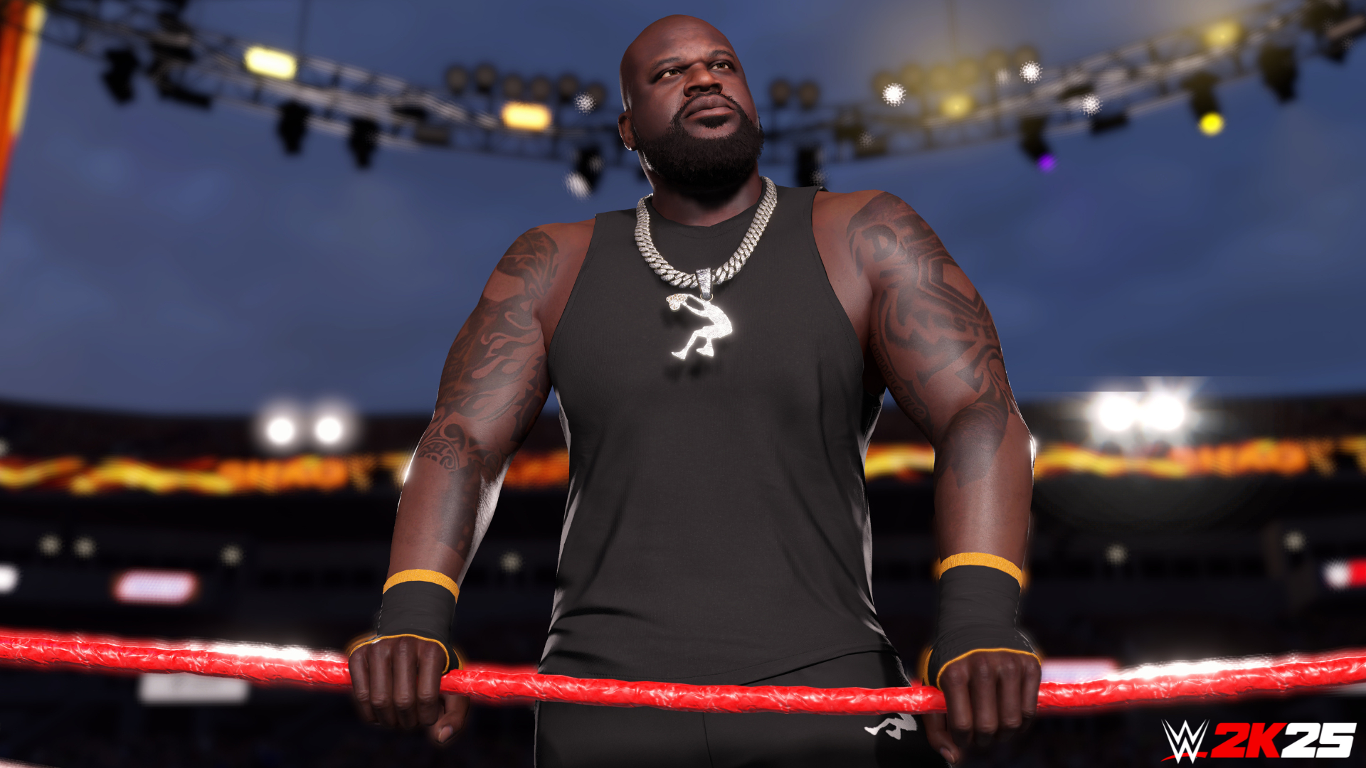 WWE 2K25