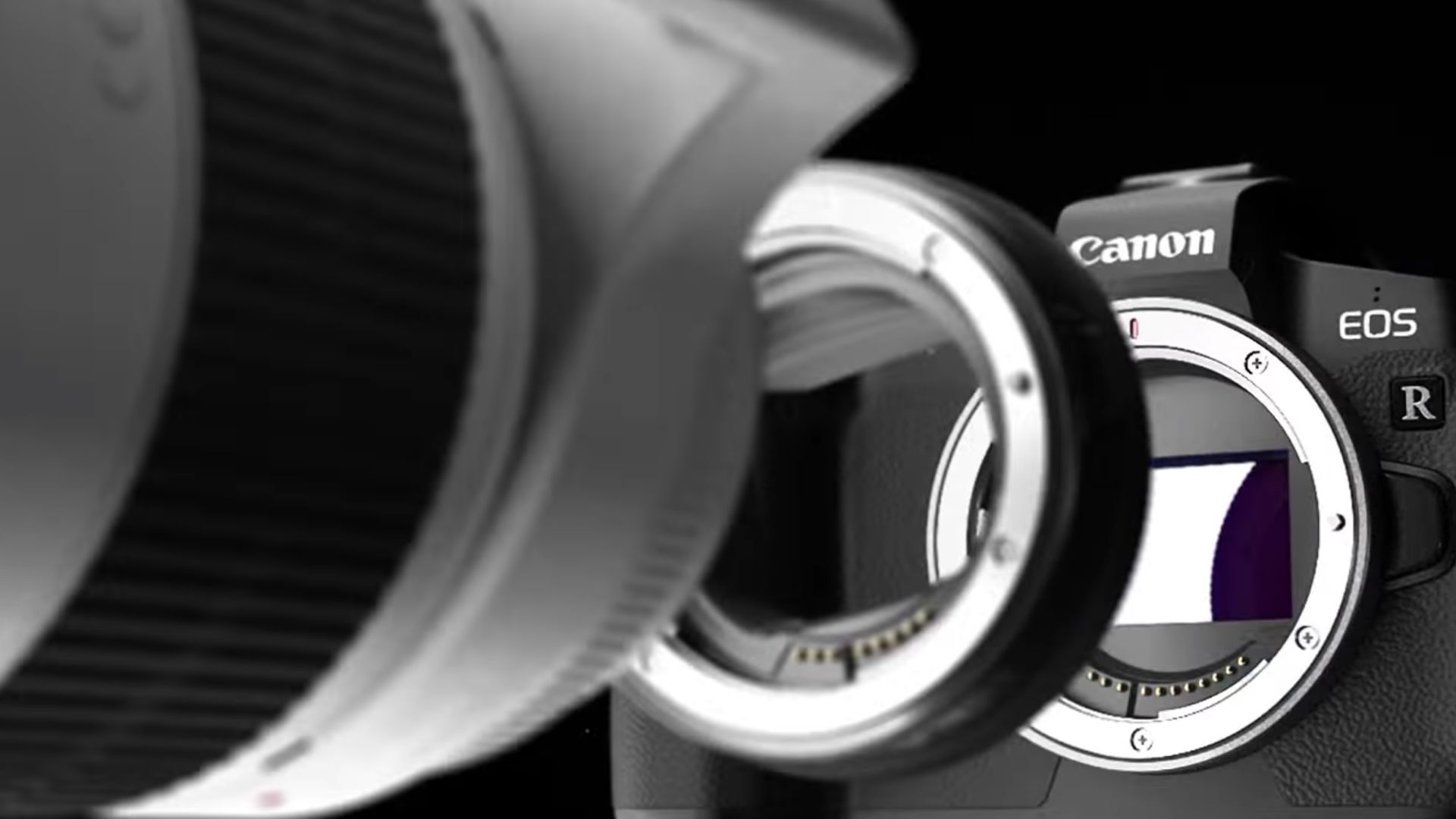 Fresh rumors that Canon will release a prolevel EOS R mirrorless