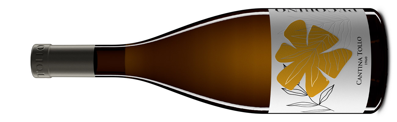 Bottle of white wine