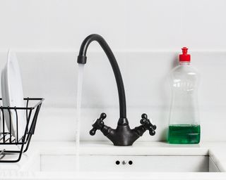 kitchen sink with dish soap