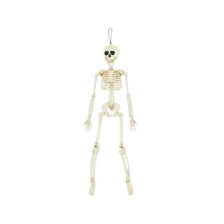 Posable Hanging Skeleton