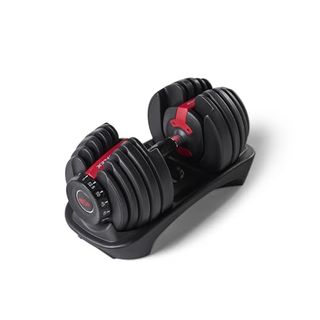 Bowflex 552 SelectTech adjustable dumbbells