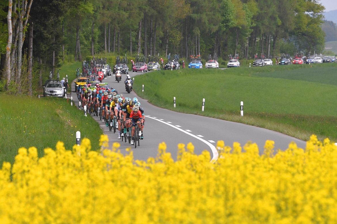 The peloton passes by the rapeseed fields