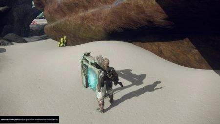 Wild Hearts multiplayer online friends