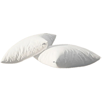 1. Emma Microfiber Pillow Pack: was $109 now $79 at Emma US