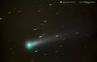 Comet ISON on Nov. 15 by Scott MacNeill