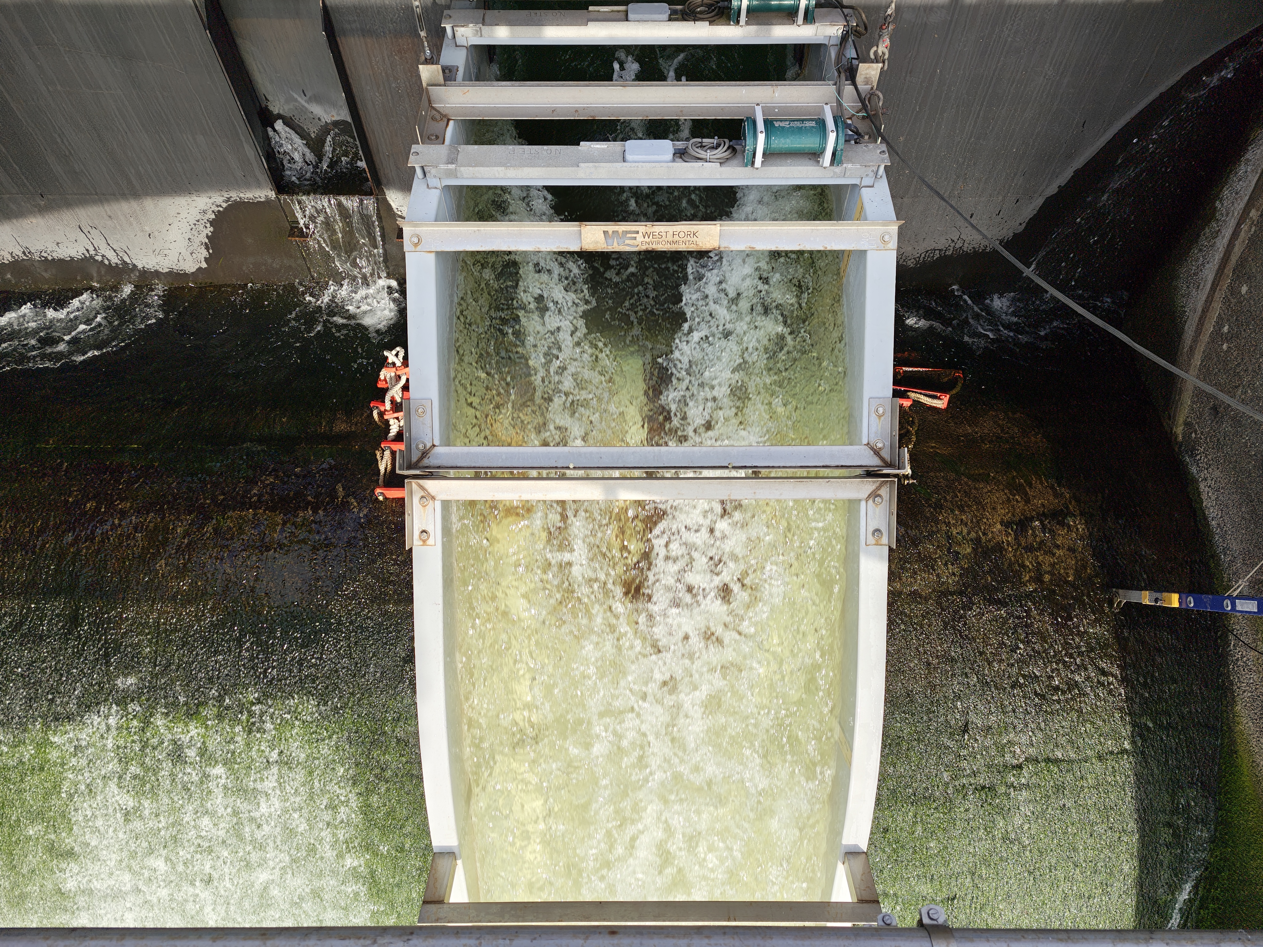 Water flowing in a tube