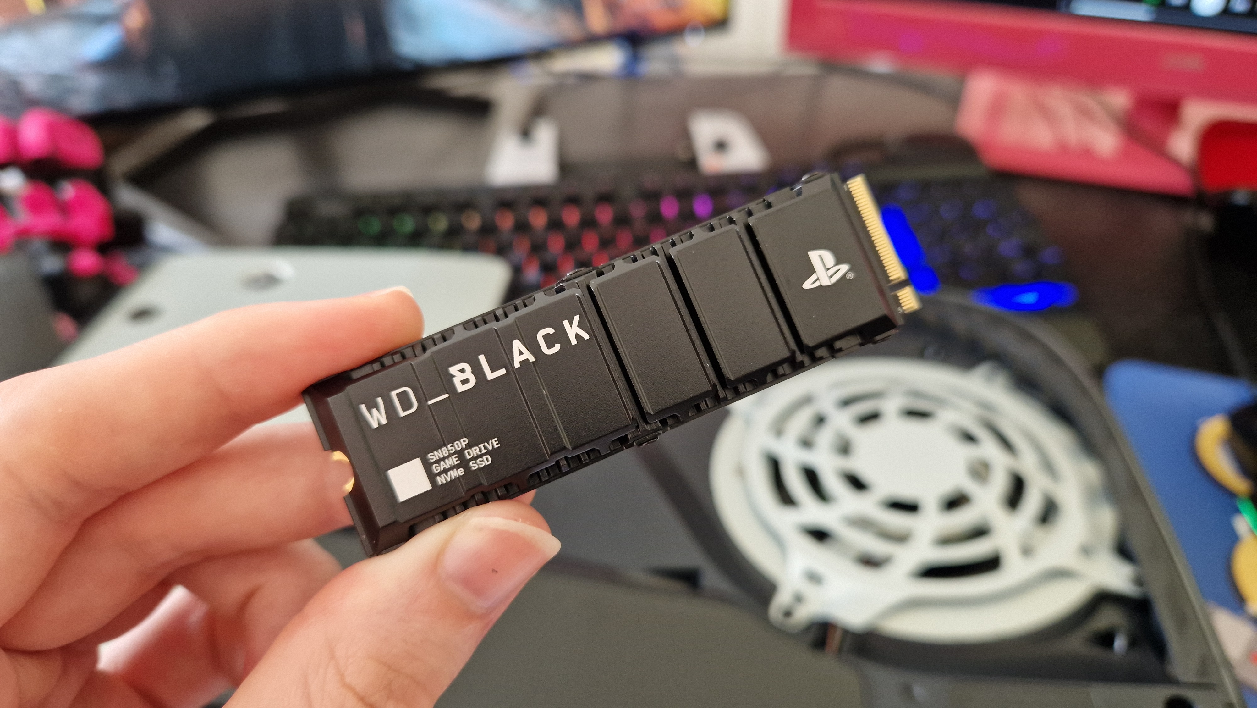 WD Black SN850P close up in the hand