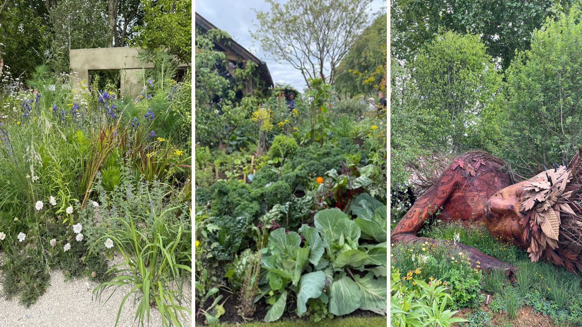 Collages of the best RHS Chelsea flower show 2026 gardens and takeaway trends