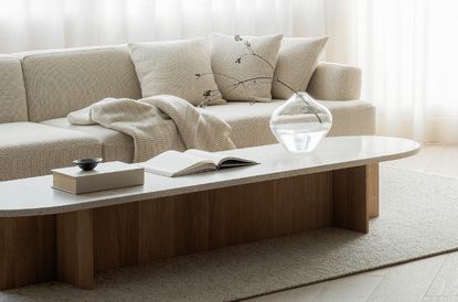 A minimalist sofa