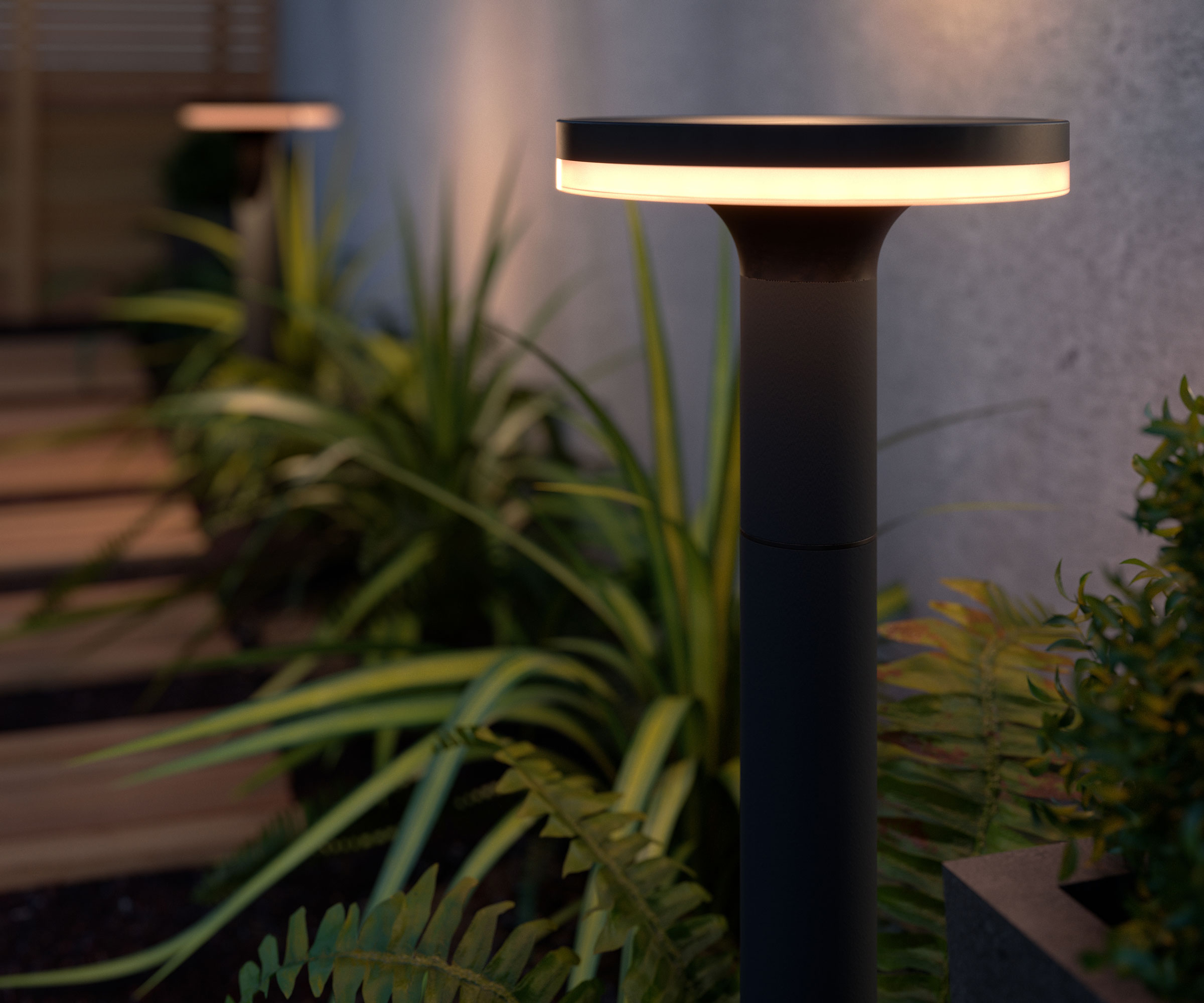 garden path lights set in border with ornamental grass