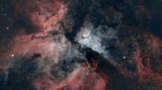 Horoscope 5th - 11th May 2025