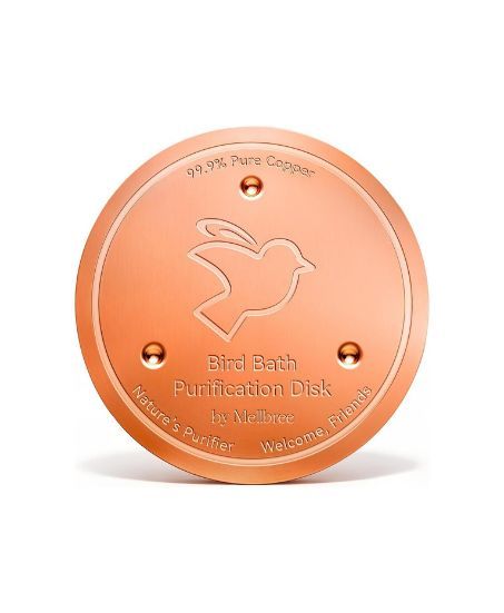 Bird Bath Copper Disc
