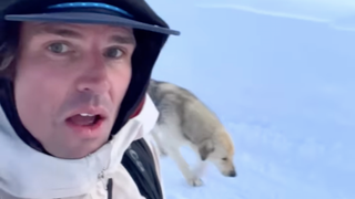  Skier Colter Hinchliffe finds a badass dog buddy for Georgian ski trip