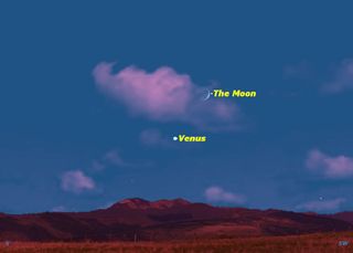 November 6: Moon Passes North of Planet Venus