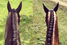 plaits-1.jpg
