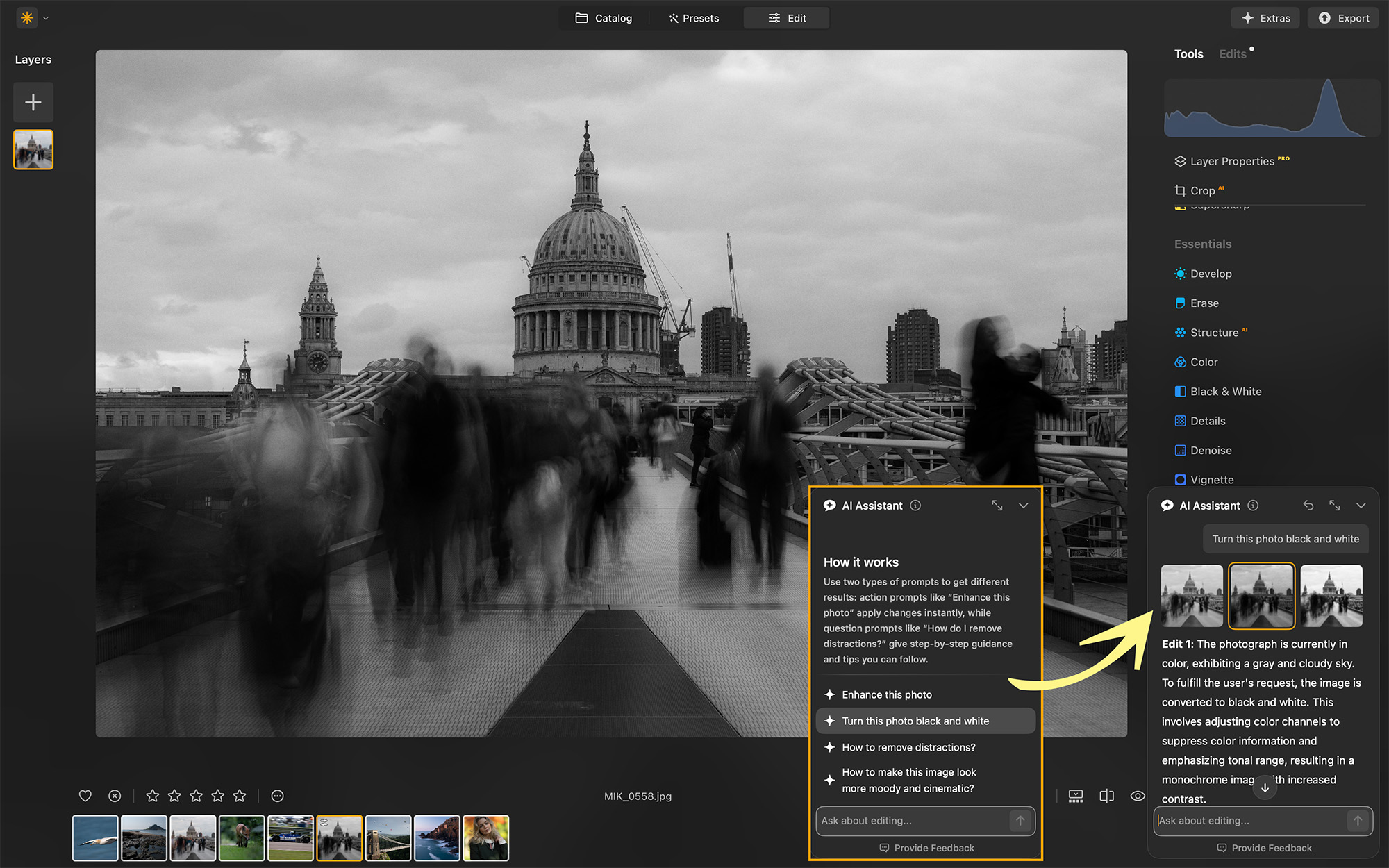 Screenshot from Luminar Neo showing AI Assistant 