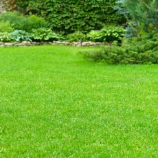 Green lawn with landscaping