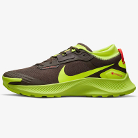 Nike Pegasus Trail 3 GORE-TEX