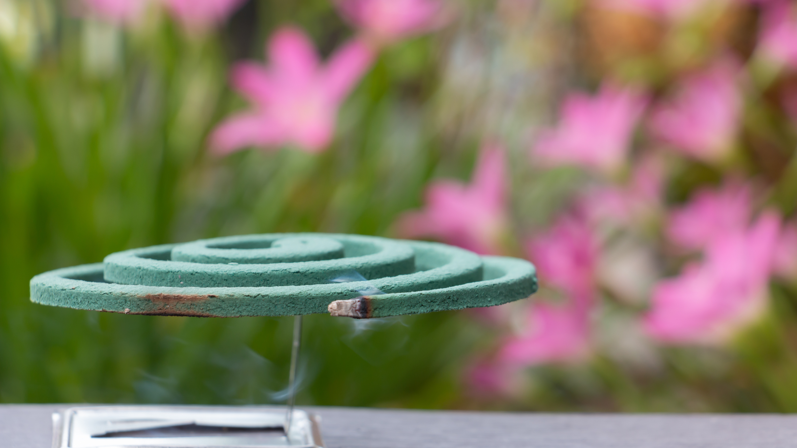 Mosquito coil on a garden table.