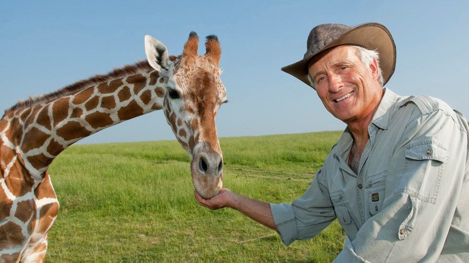 Jack Hanna, famed zoologist, is the star of several wildlife-focused shows.