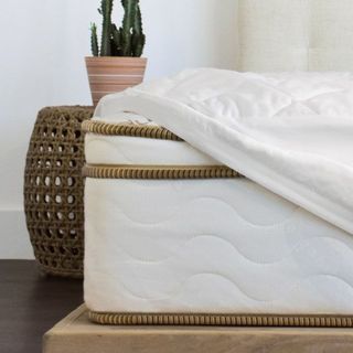 Best mattress protector on bed with plant