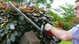 Cobra hedge trimmer in use by a man