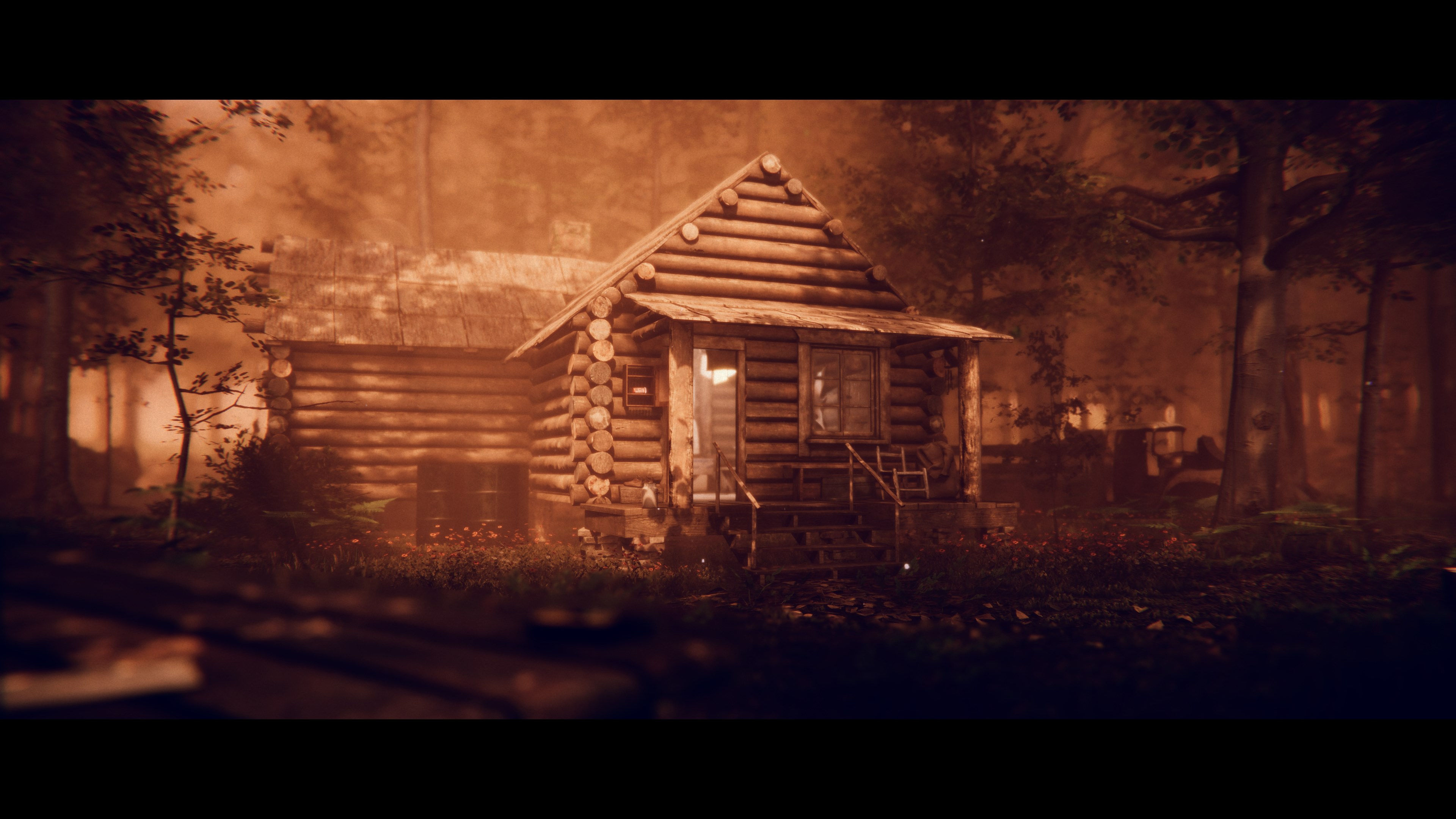 Project Songbird is set in the forests of the Appalachian mountains in rural West Virginia.