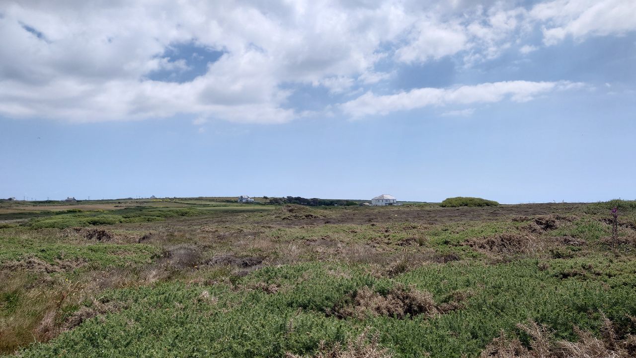 Sony Xperia 1 IV sample shot of a field and house in the distance