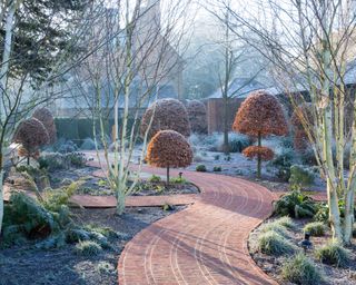 Winter garden with snaking brick pathway, white birch trees, frosted grass and beech domes