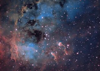 IC 410 ‘The Tadpoles’ in Auriga by Steven Coates