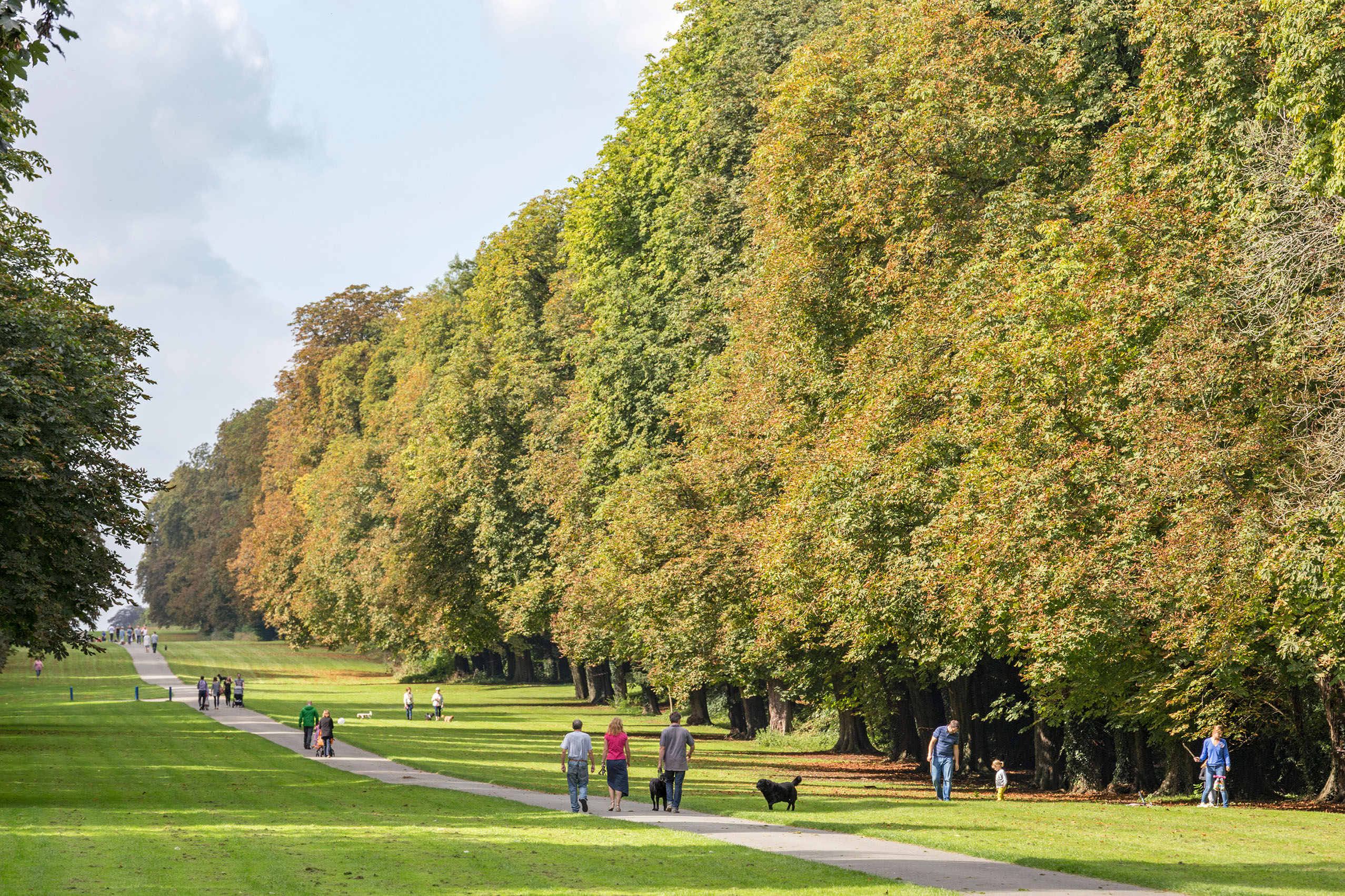 Cirencester Park, Gloucestershire.