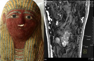 mummy mask, fetus mummy, archaeology