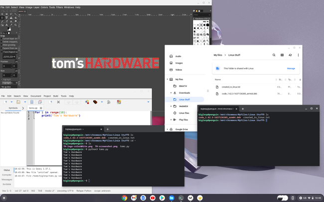 How to Run Linux on your Chromebook | Tom's Hardware