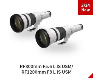 Canon RF 800mm f/5.6 L IS USM and RF 1200mm f/8 L IS USM