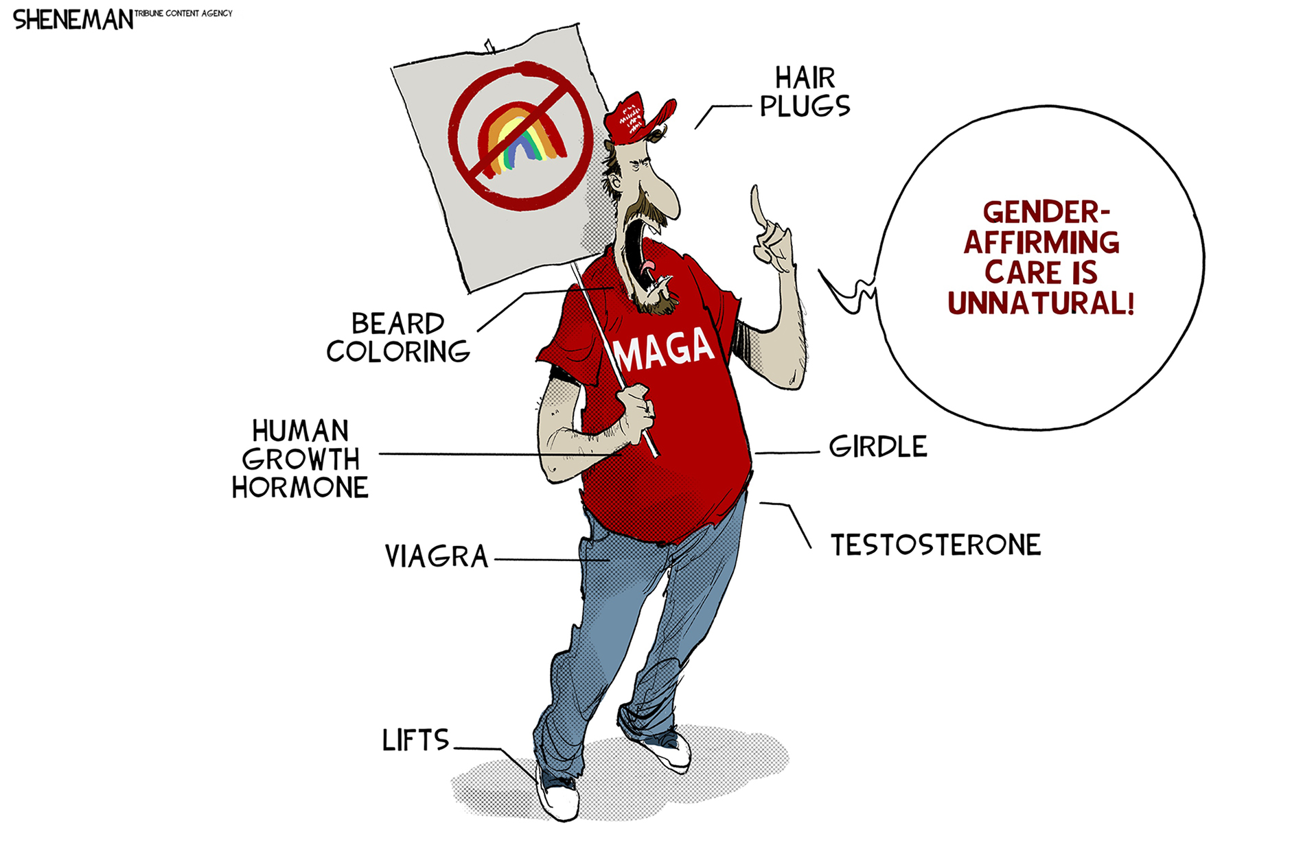 Political Cartoon