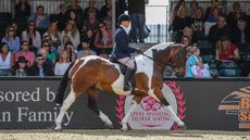 HorseNo1554_RWHS_PN23_72247.jpg