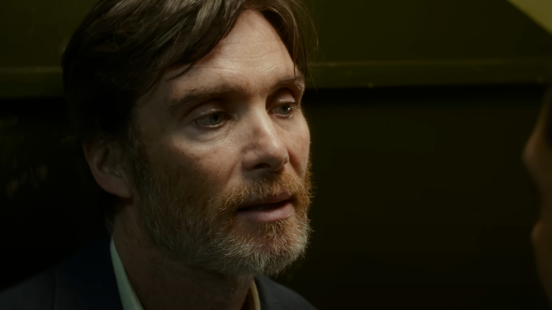 Steve on Netflix