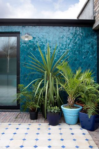 small courtyard garden with blue wall tiles and potted plants