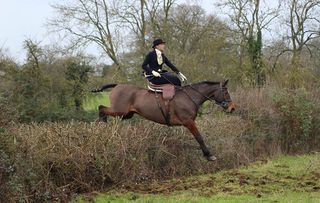 side saddle Sarah Kate Byrne