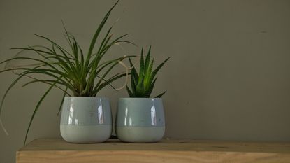 best planters